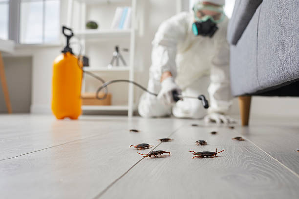 Commercial Kitchen Cockroach Control in Mount Holly